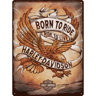 Harley-Davidson - Born to Ride Eagle